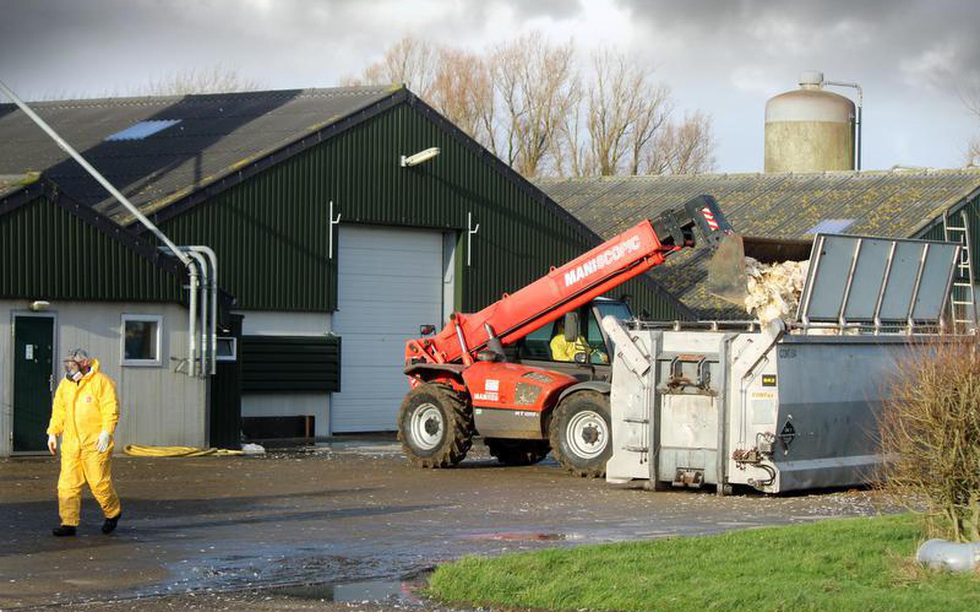 ‘You can’t turn bird flu off the barn door’: costs expected to fight nearly 50 million this year